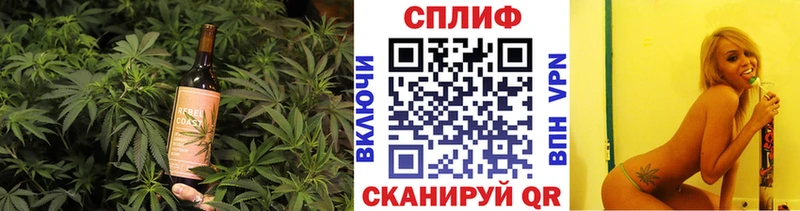 мориарти какой сайт  Грозный  Еда ТГК марихуана 