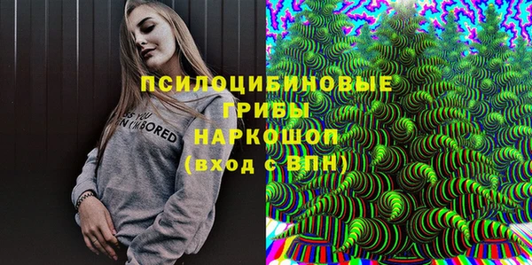 ALPHA PVP Богородицк