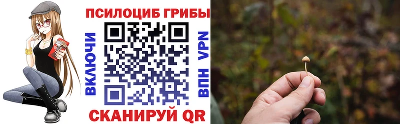 Псилоцибиновые грибы прущие грибы  нарко площадка состав  Грозный  как найти закладки 